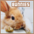 Rabbits/Bunnies